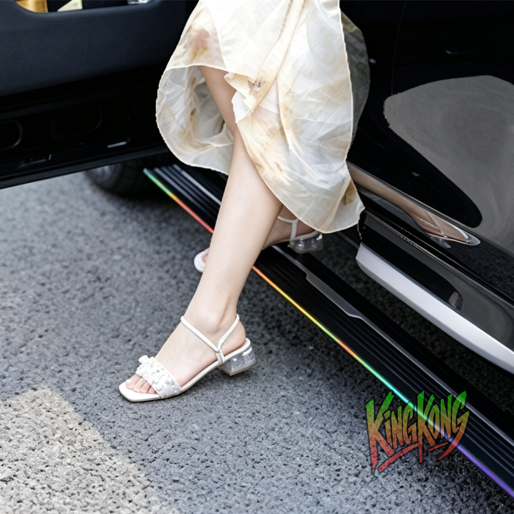 GWM TANK 300 Electric Side Step with LED colour changing intergration
