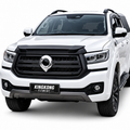 GWM P300 blackout grille covers