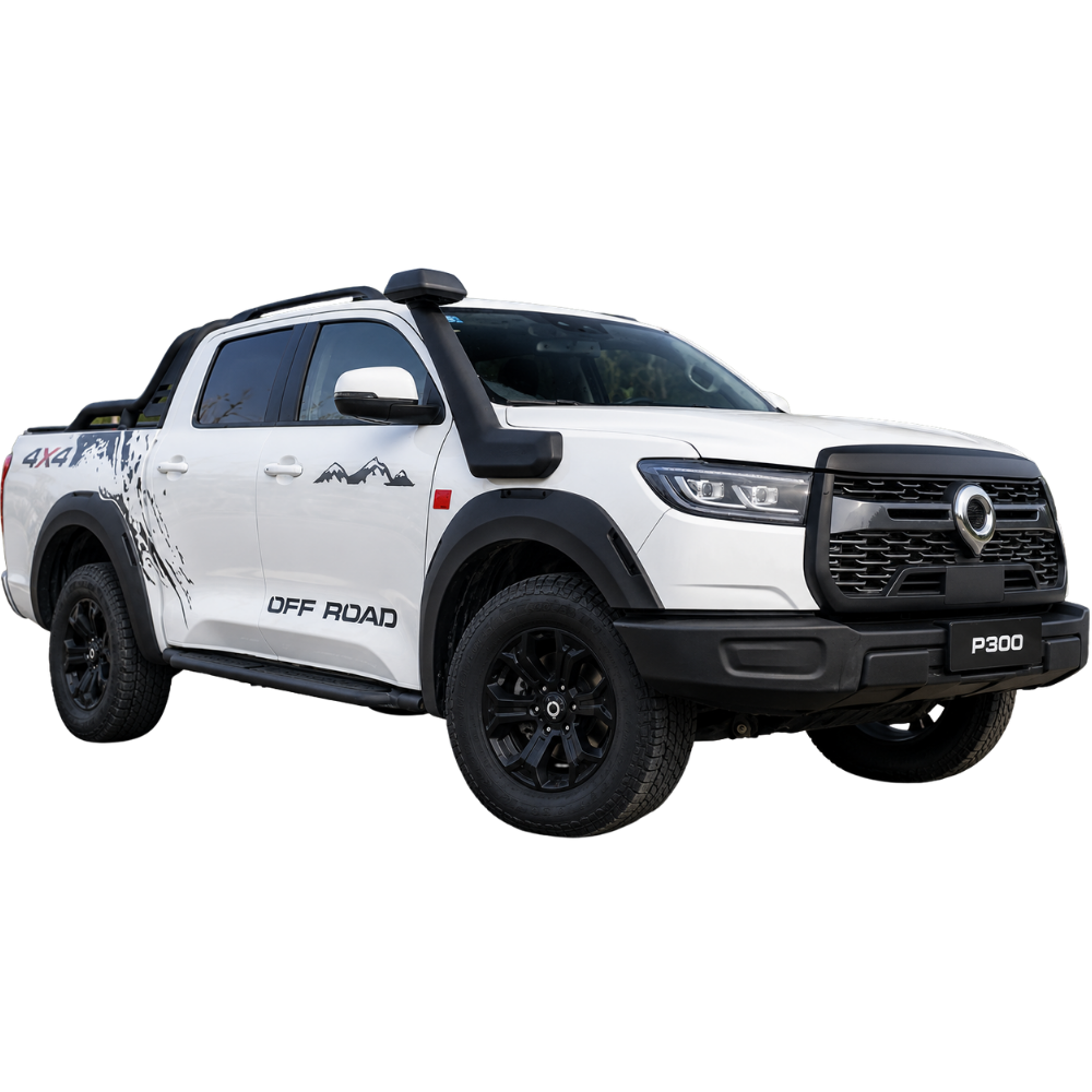 GWM P300 Snorkel