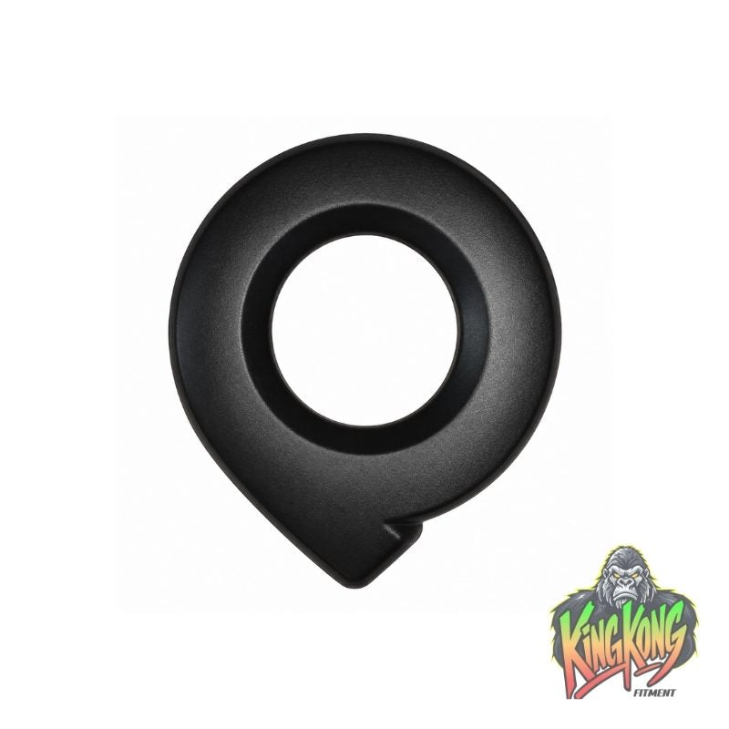 GWM P300 matte black logo badge