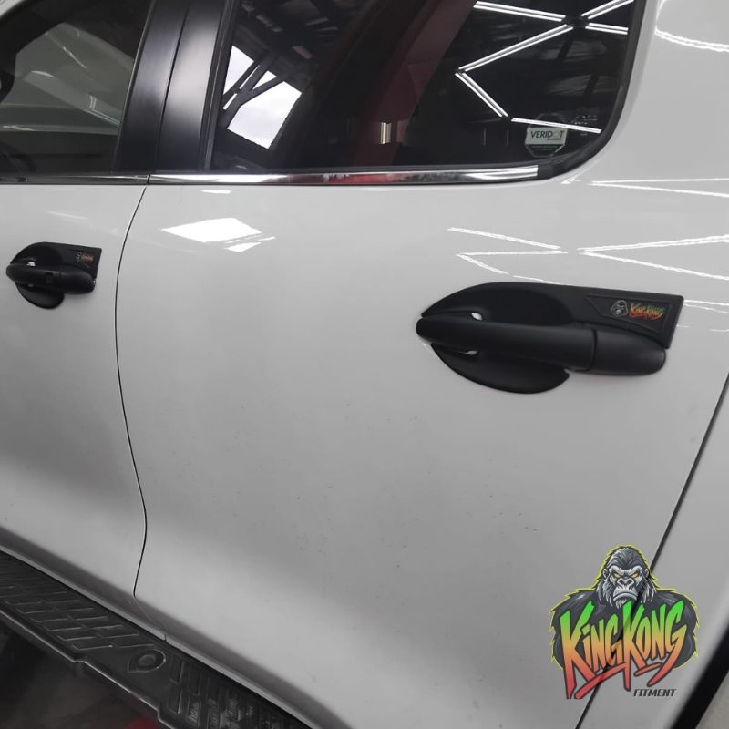 GWM P300 door bowl covers
