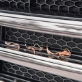 TANK 300 Insect Grille insert