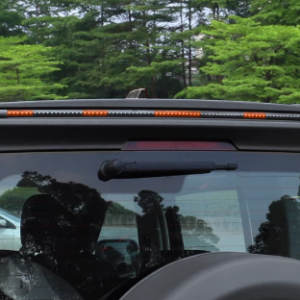 Tank 300 Rear Roof Spoiler with Light
